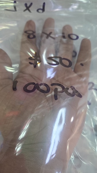 Adhesive Cello Bags 8x10"